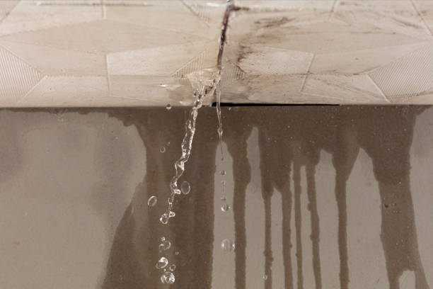 Professional Structural Drying technician working in Stanley, WI
